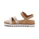 SF171 - 