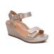 HW224 - 