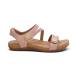 SE209 - 