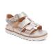 SF113 - 