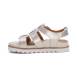 SF113 - 