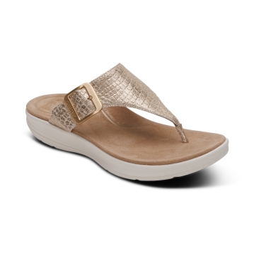 93035-EN3005W_catalog
